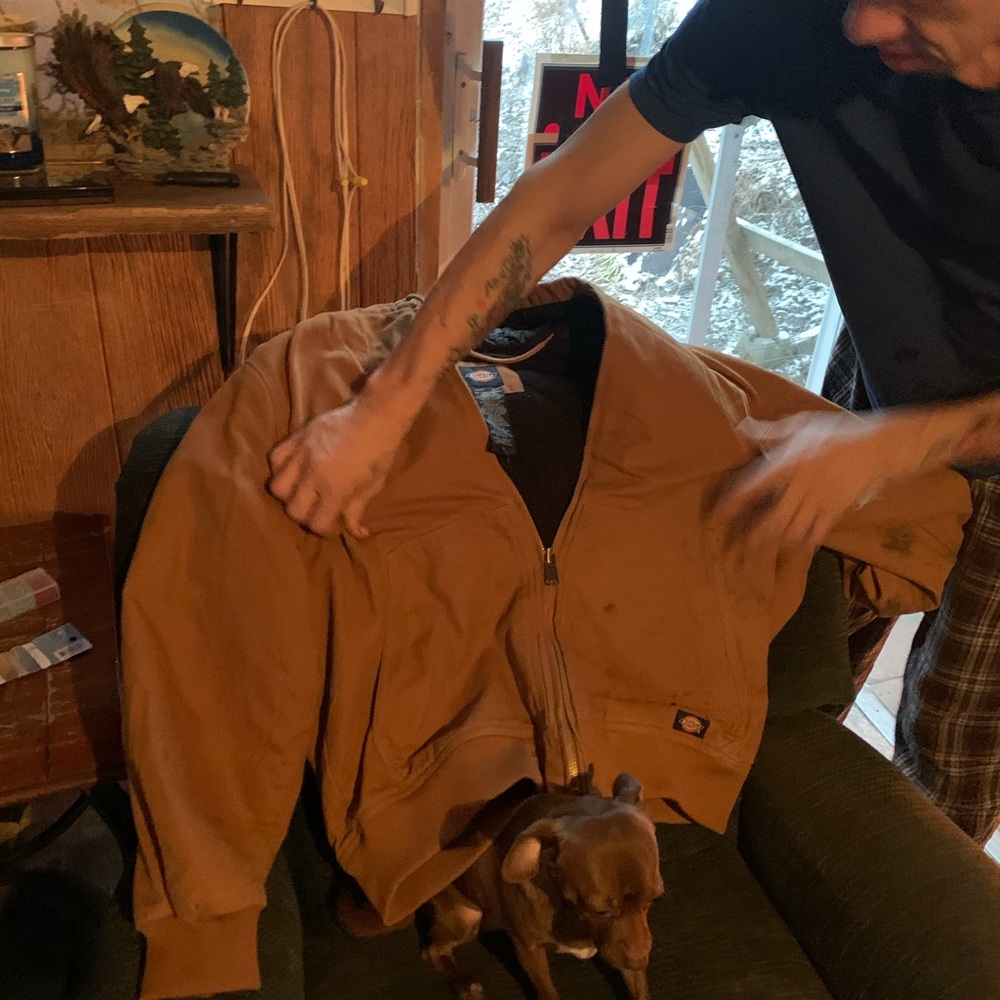 Dickie jacket
